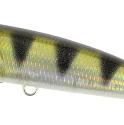 Duo Realis Fang Pop Poppers