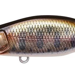 Megabass Great Hunting Humpback