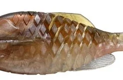 Issei Gill Flat Jr Soft Body