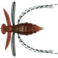 Evergreen USA Gizmo Poppers 5 Evergreen USA Gizmo Poppers