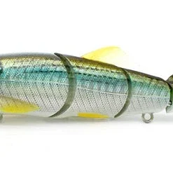 Little Jack Hard Body Gorgon 125 Custom 12 Little Jack Hard Body Gorgon 125 Custom