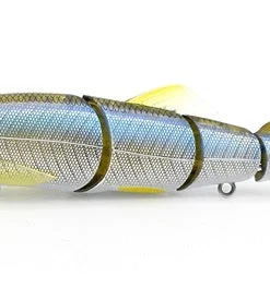 Little Jack Hard Body Gorgon 125 Custom 15 Little Jack Hard Body Gorgon 125 Custom