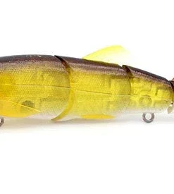 Little Jack Hard Body Gorgon 125 Custom