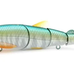 Little Jack Hard Body Gorgon 125 Custom 14 Little Jack Hard Body Gorgon 125 Custom