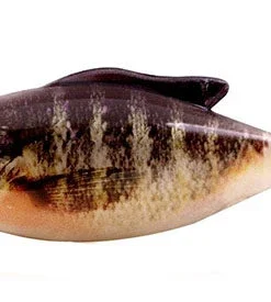 Geecrack Soft Body Gyro Gill