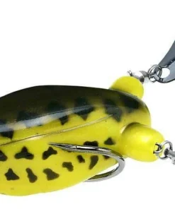 Teckel Frogs Honker Frog