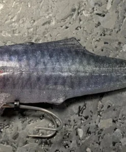 Signal Japan Devil Swimmer Paddletail Swimbaits