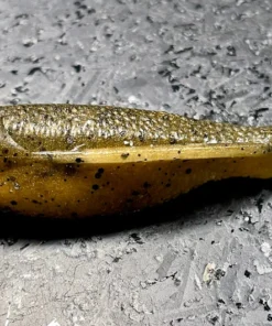 Laysam Creatures Namekuji Worm