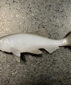 JSJ Bait Co. Hitch Six Recoil Weedless Swimbait