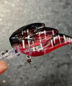 +Rooms Alcatraz Shallow Diving (0-7ft.)