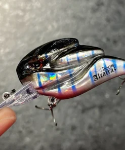 +Rooms Alcatraz Shallow Diving (0-7ft.)