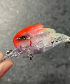 +Rooms Alcatraz Shallow Diving (0-7ft.)