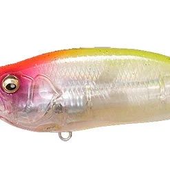 Megabass IxI Shad Type-R