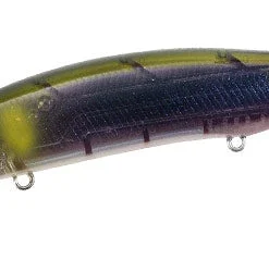 Duo Realis Jerkbait 100SP Silent