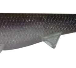 Optimum Baits Boom Boom Weedless Swimbait