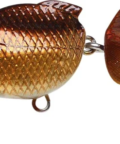 Lucky Craft Kingyo Koaka 40