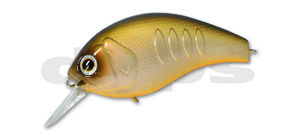 Deps Korrigan Magnum 5 Deps Korrigan Magnum