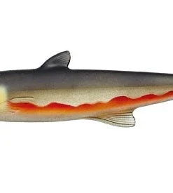 Evergreen International Last Ace 168