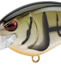 Spro Medium Diving (8-14ft.) Little John MD Type-R