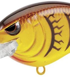 Spro Medium Diving (8-14ft.) Little John MD Type-R