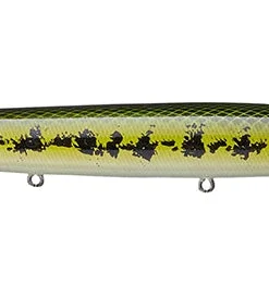 Ima Little Stick Walking