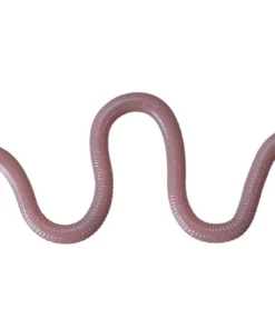 OSP Dropshot Baits MMZ