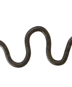 OSP Dropshot Baits MMZ