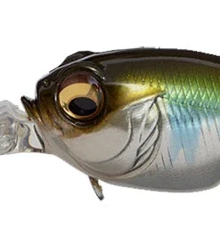 Megabass MR-X Griffon