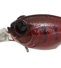 Megabass MR-X Griffon