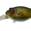 Megabass MR-X Griffon