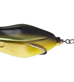 Teckel Maracker Frog Frogs