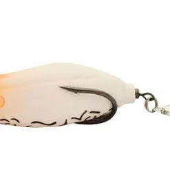 Teckel Maracker Frog Frogs