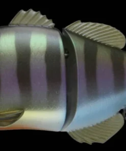 Jackall Hard Body Gantarel 18 Jackall Hard Body Gantarel