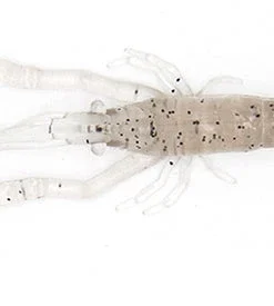 Little Jack Creatures Modelism Ebi 20 Little Jack Creatures Modelism Ebi