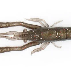 Little Jack Creatures Modelism Ebi 14 Little Jack Creatures Modelism Ebi