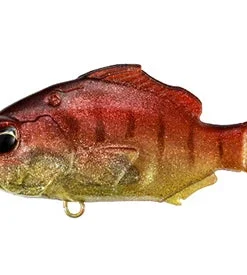 Duo Realis Nomase Gill