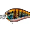 Evergreen USA PC-5 Crankbaits
