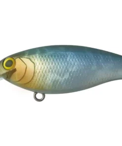 Bottom Up Shallow Diving (0-7ft.) Reazzy Appeal Plus