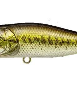 Megabass Pop-X