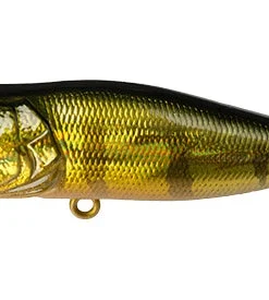 Megabass Pop-X