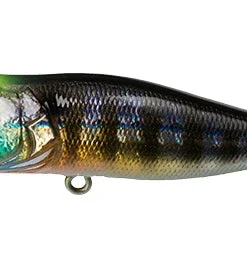 Megabass Pop-X