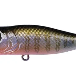 Megabass Pop-X