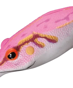 Smith LTD. Potofu Frog