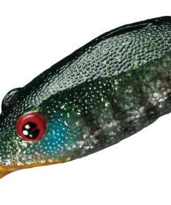 Smith LTD. Potofu Frog