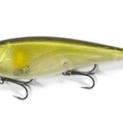 ISM Shallow Diving (0-7ft.) Risen 110F