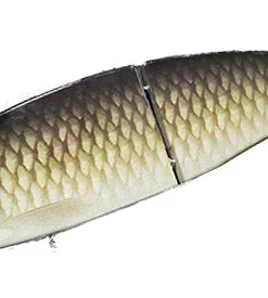 Wild Lures Wild Beat Hard Body