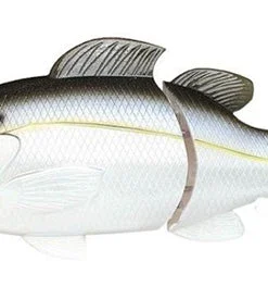 Lucky Craft Real Bluegill 165S Hard Body