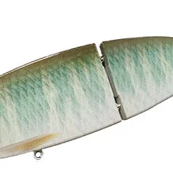 Wild Lures Wild Beat Hard Body