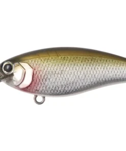 Bottom Up Reazzy Shallow Diving (0-7ft.)