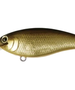 Bottom Up Reazzy Shallow Diving (0-7ft.)